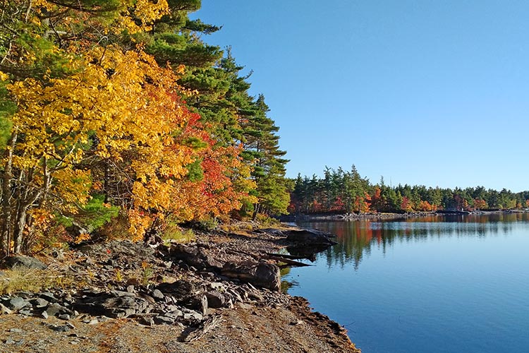 Dean Lake Cottage