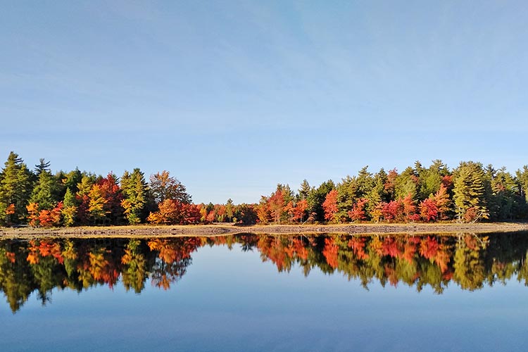 Dean Lake Cottage